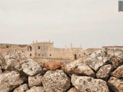 Oltre la sua chioma si apre un viale sterrato che conduce a una masseria: era l� che risiedeva De Laurentis quando si tratteneva per pi� giorni nella sua azienda